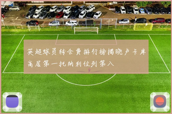 英超球员转会费排行榜揭晓卢卡库高居第一托纳利位列第八