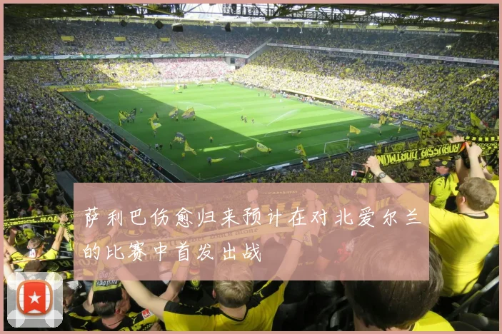 萨利巴伤愈归来预计在对北爱尔兰的比赛中首发出战